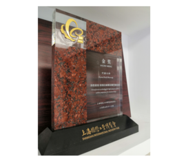 2005年上海国际工业博览会金奖