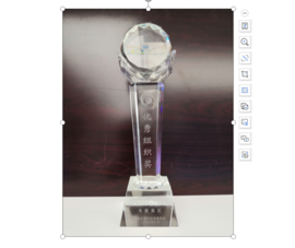 2008年国家高技术产业化十年成就专题展览“优秀组织奖”