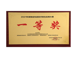 2021年湖南先进技术转化应用大赛一等奖